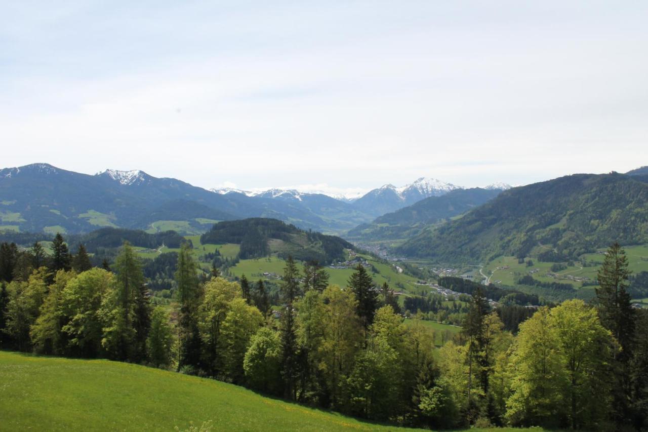 Ferienhotel Samerhof Pfarrwerfen Exteriör bild