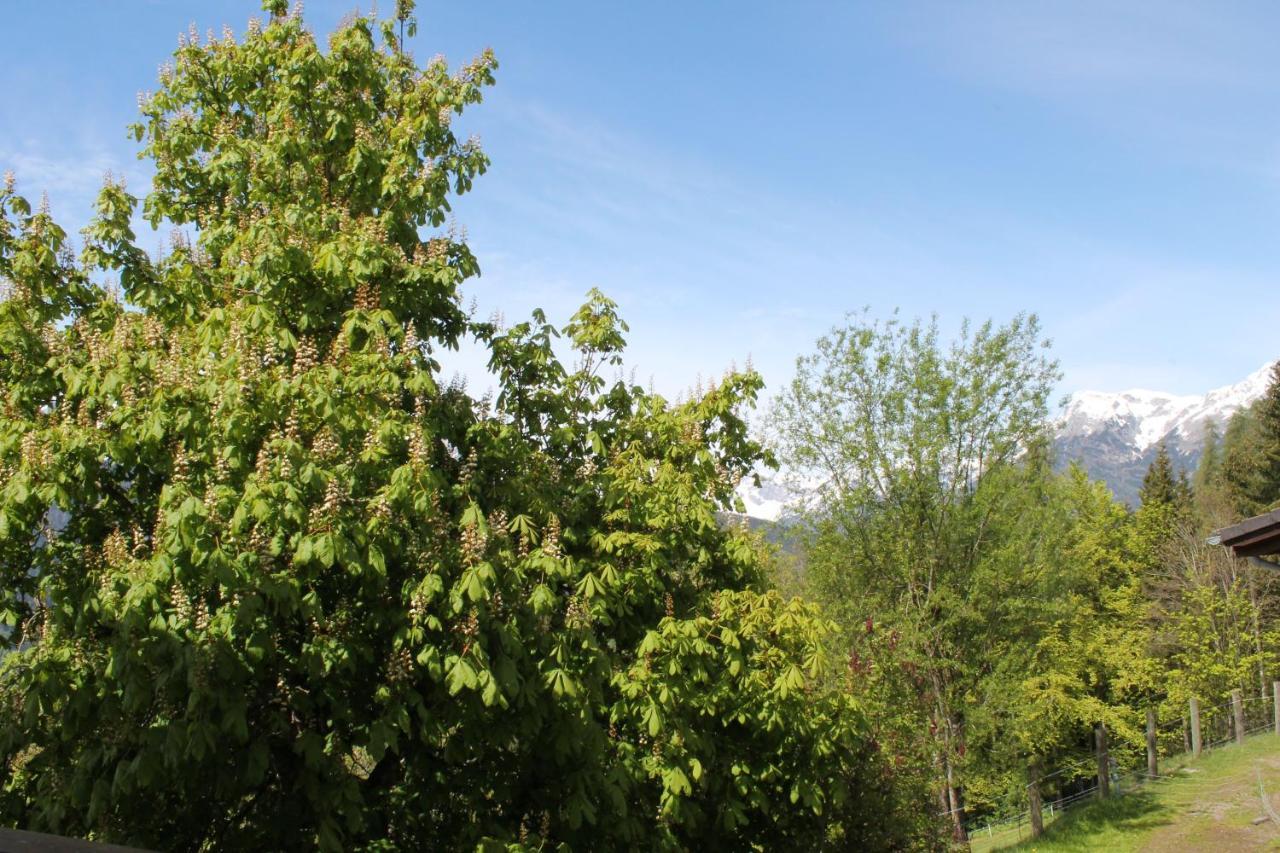 Ferienhotel Samerhof Pfarrwerfen Exteriör bild