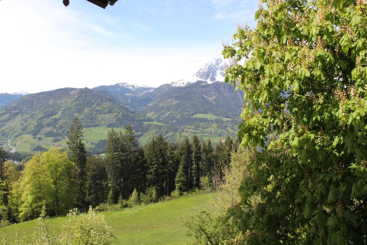 Ferienhotel Samerhof Pfarrwerfen Exteriör bild