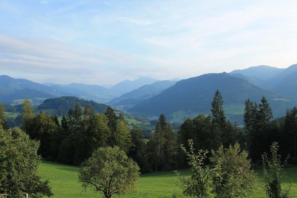 Ferienhotel Samerhof Pfarrwerfen Exteriör bild