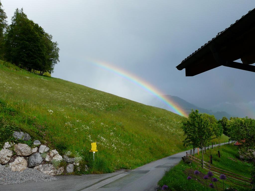 Ferienhotel Samerhof Pfarrwerfen Rum bild