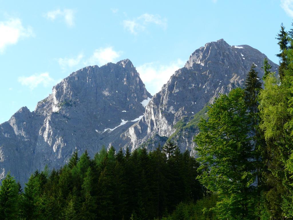 Ferienhotel Samerhof Pfarrwerfen Rum bild